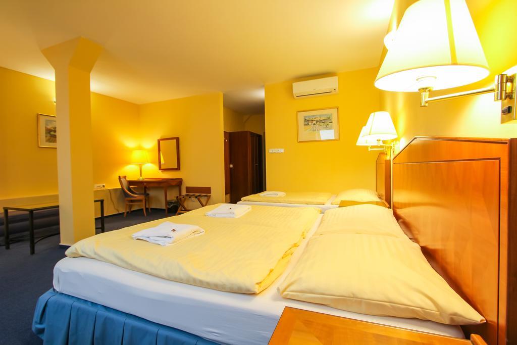 Hotel Prajer Vodňany Buitenkant foto